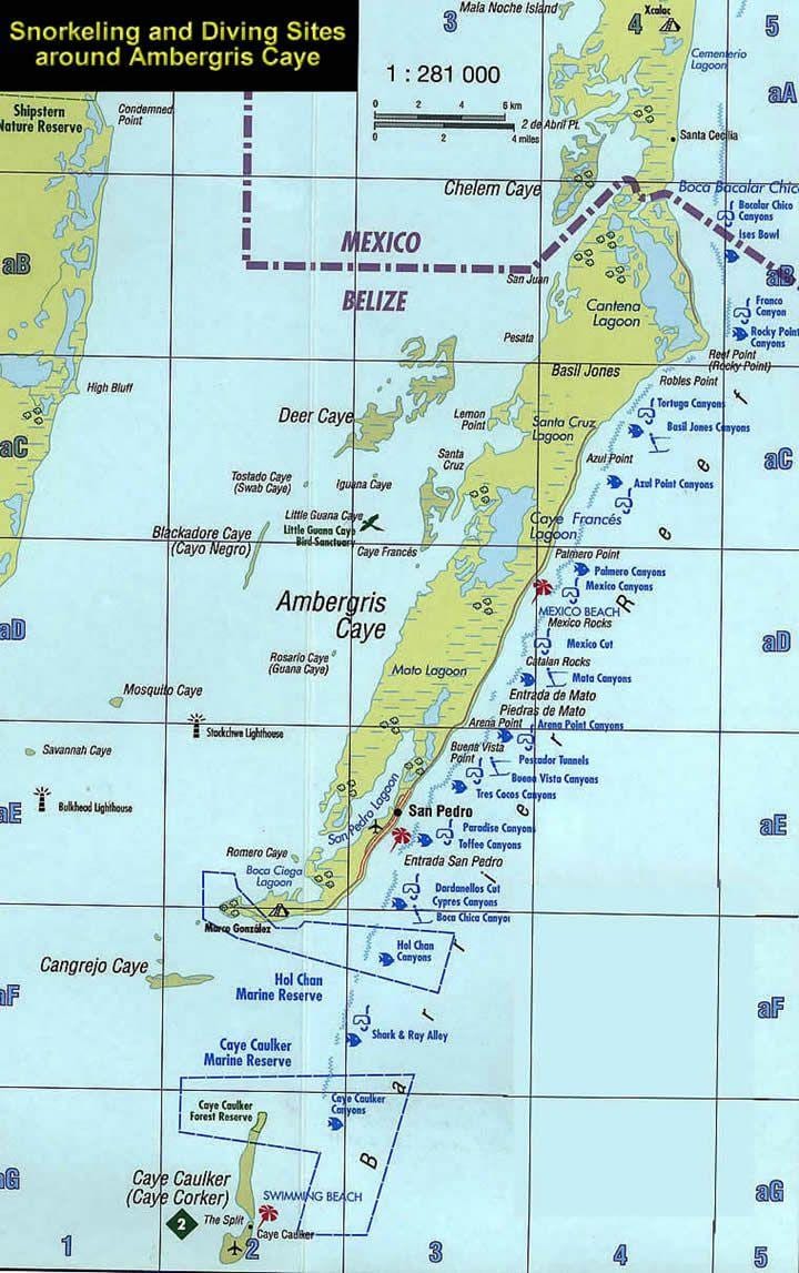 Belize dalış göster 